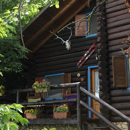 B&B Le Corone - Chalet Nel Bosco Cavalo Zewnętrze zdjęcie