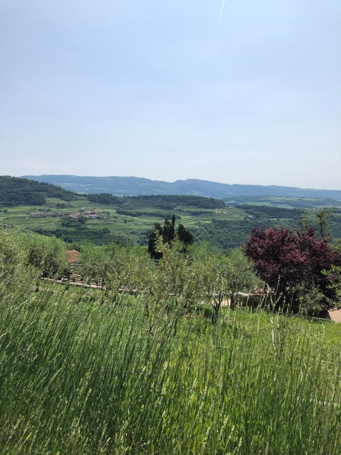 B&B Le Corone - Chalet Nel Bosco Cavalo Zewnętrze zdjęcie