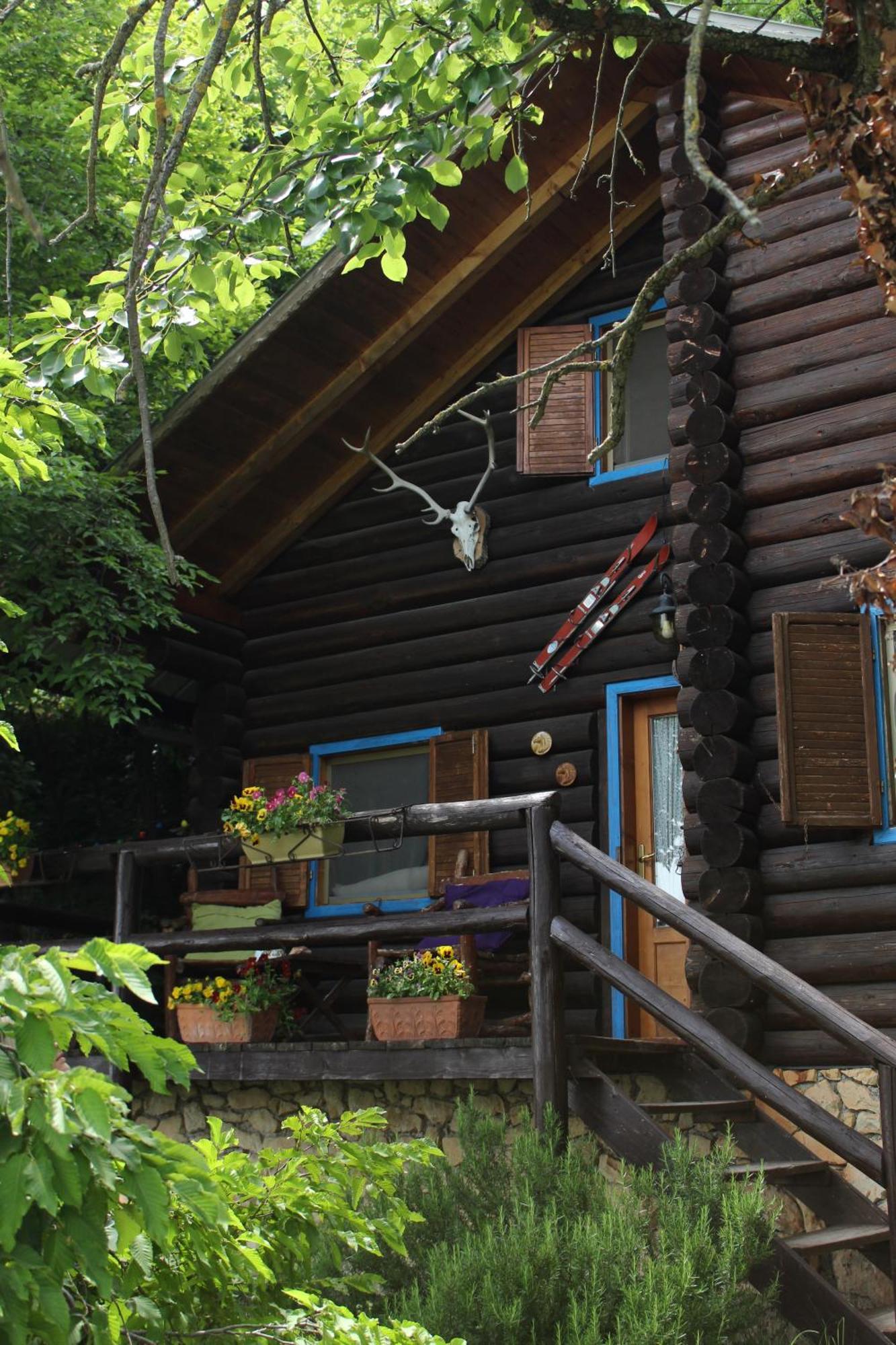 B&B Le Corone - Chalet Nel Bosco Cavalo Zewnętrze zdjęcie
