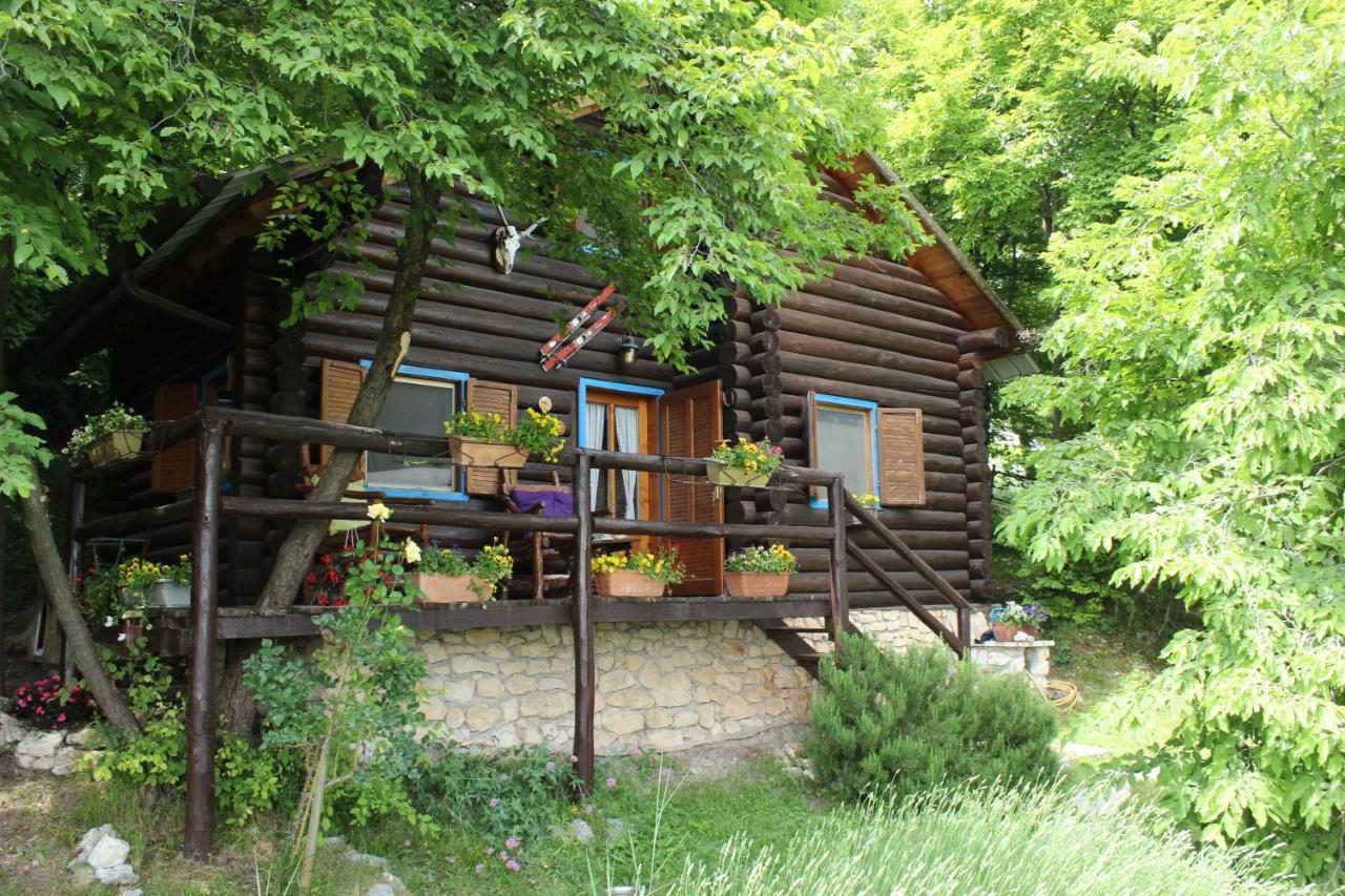 B&B Le Corone - Chalet Nel Bosco Cavalo Zewnętrze zdjęcie
