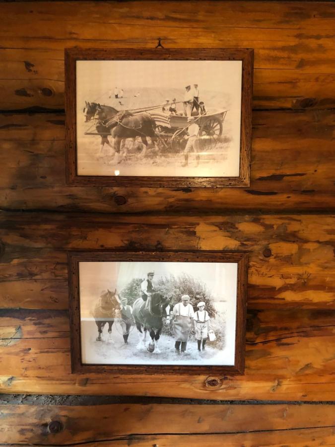 B&B Le Corone - Chalet Nel Bosco Cavalo Zewnętrze zdjęcie
