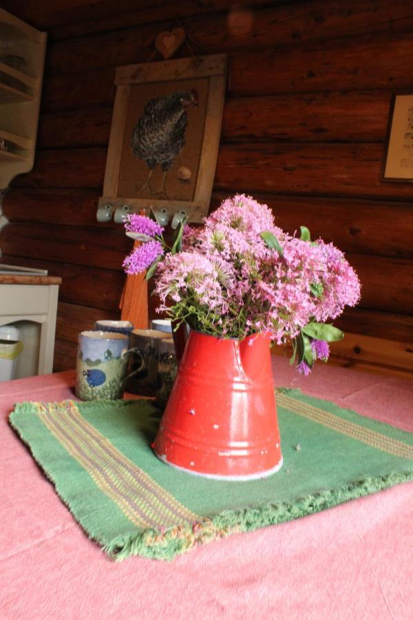 B&B Le Corone - Chalet Nel Bosco Cavalo Zewnętrze zdjęcie