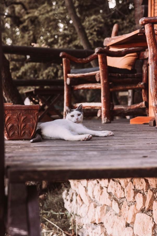 B&B Le Corone - Chalet Nel Bosco Cavalo Zewnętrze zdjęcie