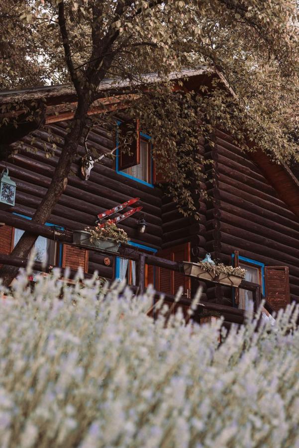 B&B Le Corone - Chalet Nel Bosco Cavalo Zewnętrze zdjęcie